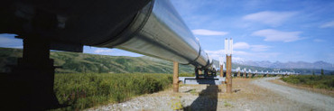 Low Angle View of a Pipeline, Trans-Alaskan Pipeline, Alaska, USA