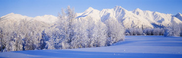 Snowcapped Mountains on a Landscape, Alaska, USA