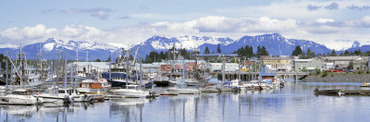 View of Boats Stationed on a Harbor, South Harbor, Petersburg, Alaska, USA