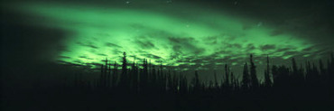 View of the Northern Lights, Aurora Borealis, Fairbanks, Alaska, USA