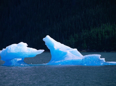Sculptured Iceberg at Tracy Arm, Tongass National Forest, Alaska, USA