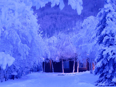 Alaskan Winter Frost, Alaska, USA