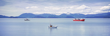 Boats on Water, Wrangell, Alaska, USA