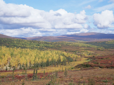 Fall Colors, Dalton Highway, Alaska, United States of America, North America