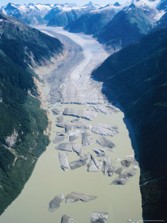 Glacier Flowing from the Juneau Icefield to the Proglacial Lake, Alaska, USA