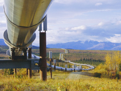 Trans Alaska Oil Pipeline Across Taiga Through Alaskan Range Carried on Insulated Ground Piles