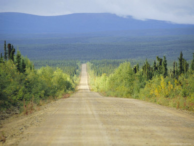 Taylor Highway, Gravel Road Through Pine Forest, Alaska, USA