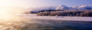 Chilkat River, Haines, Alaska, USA