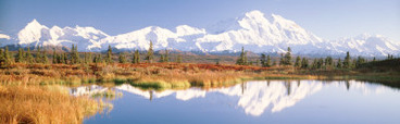 Pond, Alaska Range, Denali National Park, Alaska, USA