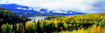 Panoramic View of a Landscape, Yukon River, Alaska, USA