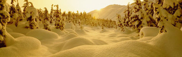 Sunset, Turnagain Pass, Alaska, USA