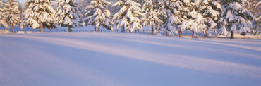 Snow Covered Golf Course, Alaska, USA