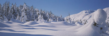 Snow Covered Landscape, Talkeetna Mountains, Alaska, USA