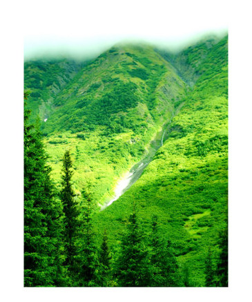 Summer in Chugach National forest, Alaska