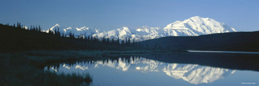 Reflection of Mountain and Trees in the Lake, Wonder Lake, Mount Mckinley, Alaska, USA