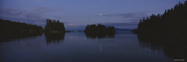 Silhouette of Trees at Dusk, Moonrise over Frederick Sound, Tongass National Forest, Alaska, USA