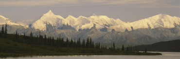 Moose Standing on a Frozen Lake, Wonder Lake, Denali National Park, Alaska, USA