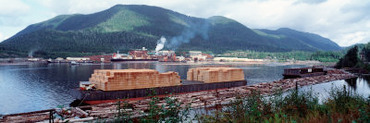 Barge at a Lumber Mill on a Lake, Ketchikan, Alaska, USA