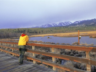 Bird Sanctuary at Potter's Marsh, Anchorage, Alaska, USA