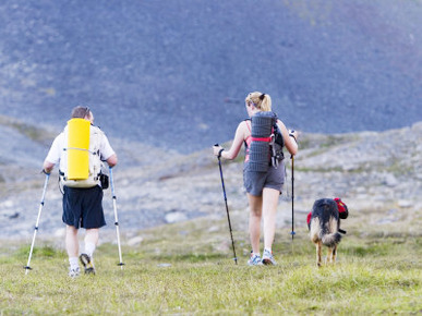 Backpackers on Crow Creek Trail Near Girdwood, Anchorage, Alaska