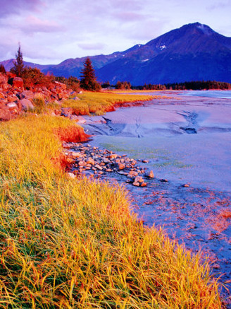 Low Tide at Turnagain Arm, Cook Inlet, Seward Scenic Highway, Seward, Alaska