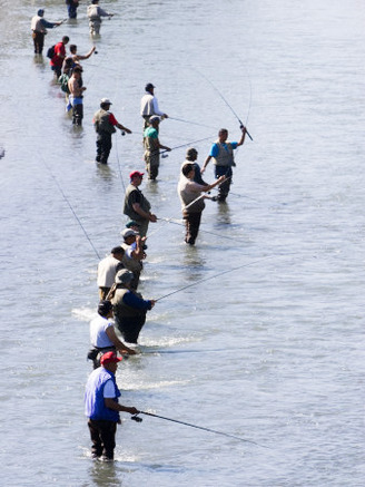 Fishermen Line Ship Creek During Salmon Run, Anchorage, Alaska