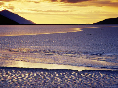 Low Tide at Turnagain Arm, Cook Inlet, Seward Scenic Highway, Seward, Alaska