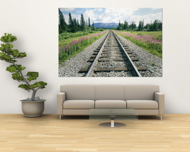 Alaska Railroad Tracks Lined on Either Side by Pink Fireweed