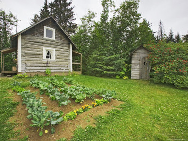 Alaska-Pratt Museum Homestead and Outhouse Built in 1929, Homer, Alaska, USA