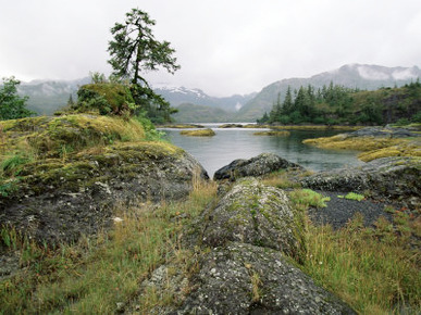 Moss Covered Rocks at Water's Edge, Prince William Sound, Alaska