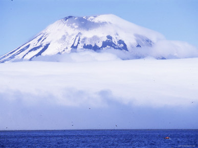 Amukta Island with Volcano, with Northern Fulmars in Flight Below, Aleutian Islands, Alaska, USA