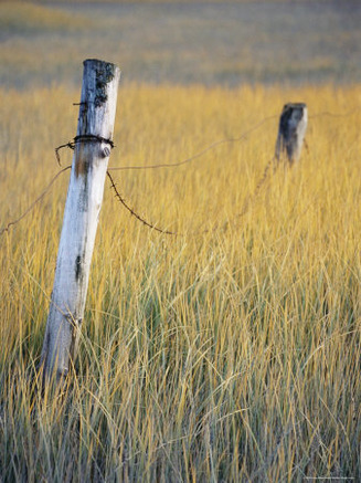 Fence Posts in Salt Grass, Hope, Alaska, United States of America, North America