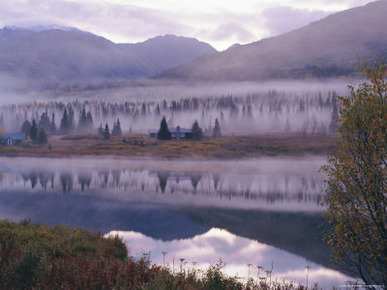 Dawn Mist in Autumnal Colours and Hunters Cabin Closed for the Winter, Kenai Peninsula, Alaska, USA