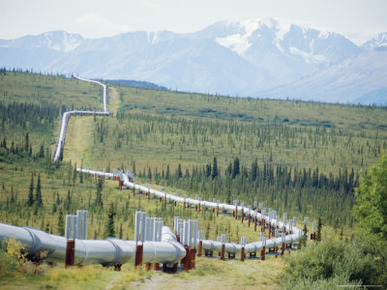 Trans Alaska Oil Pipeline Running on Refridgerated Support to Stop Heat Melting the Permafrost, USA